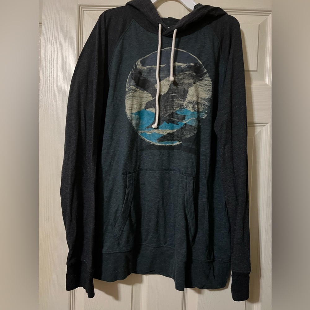 American Eagle Outfitters Men Large Graphic Hoodie